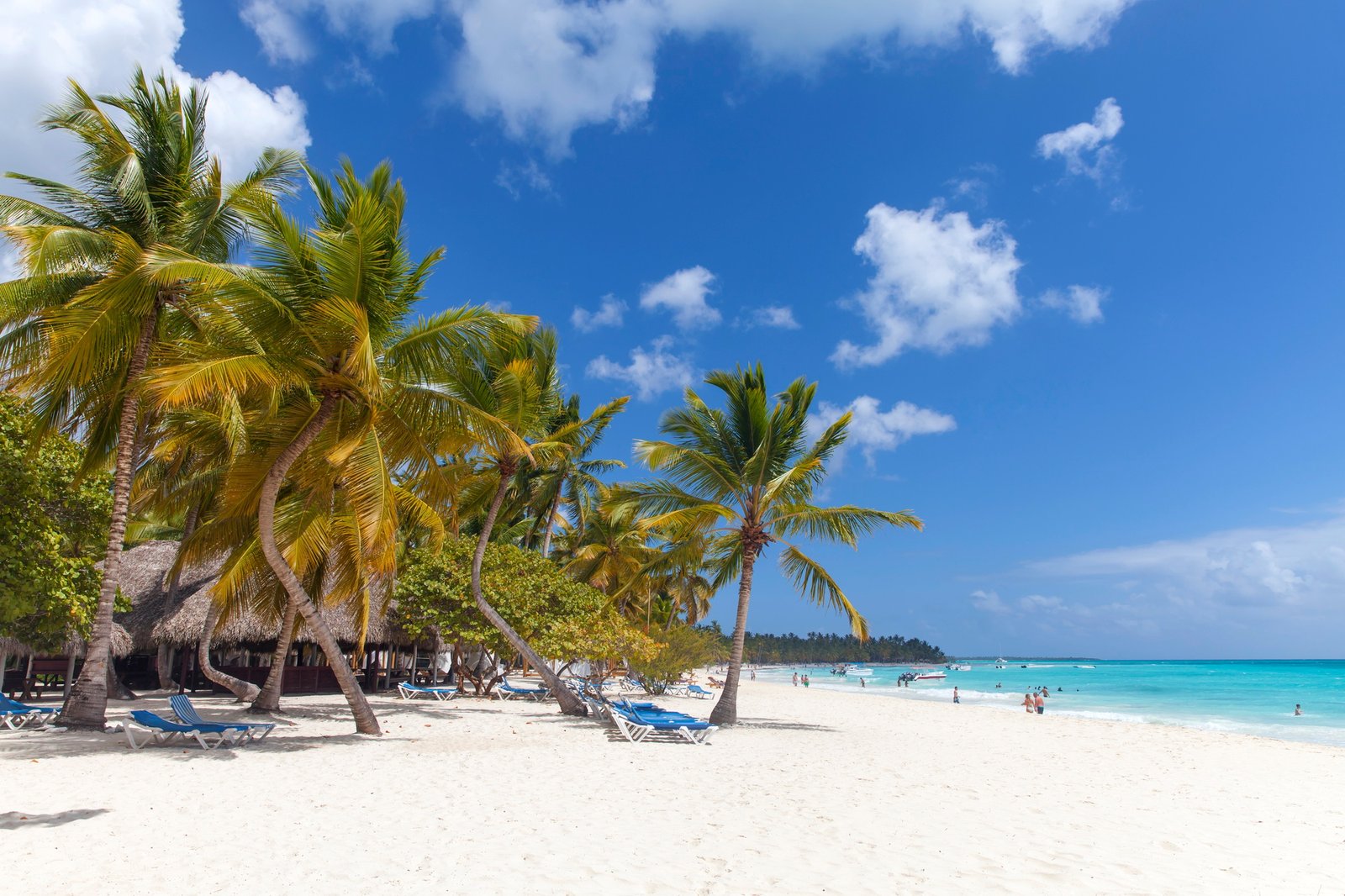 Caribbean paradise, beach front with palm trees. Dominican Republic.