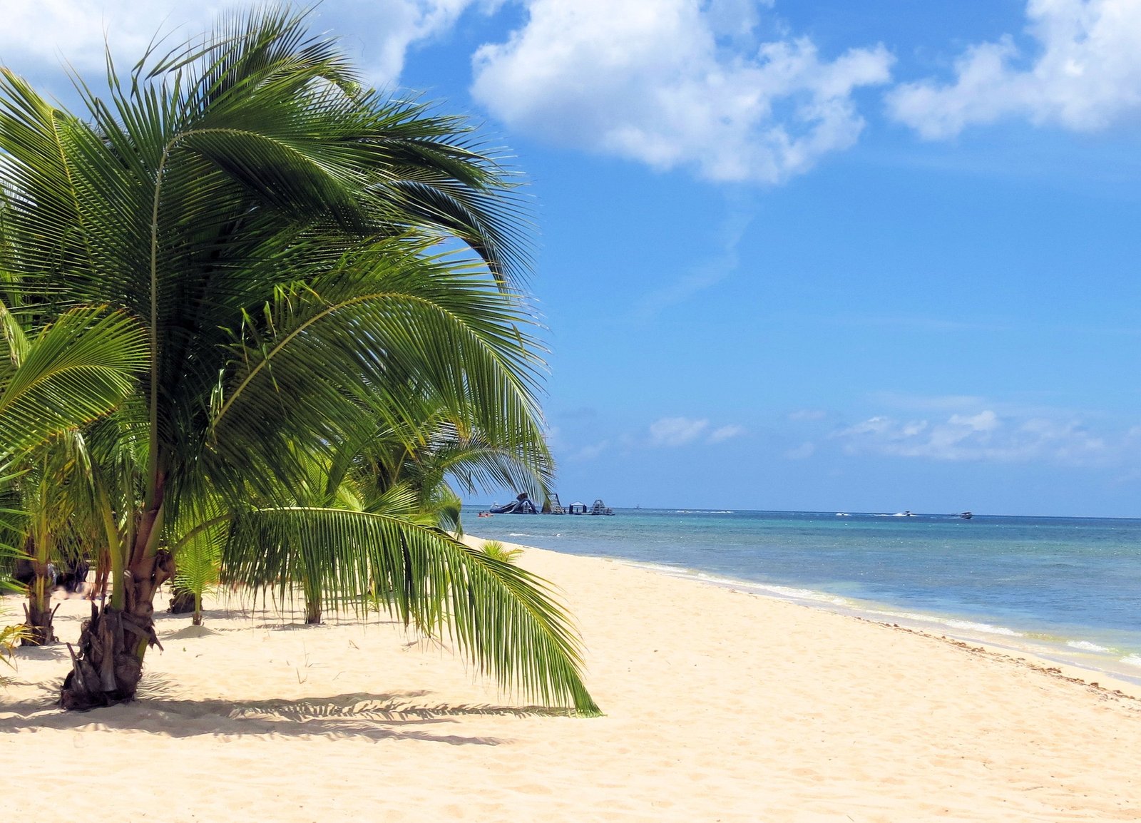 Tropical Beach Landscape in the Caribbean